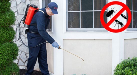 Karaçoban Karınca İlaçlama böcek ilaçlama ve haşere kontrolü — ilaclama-tr.com